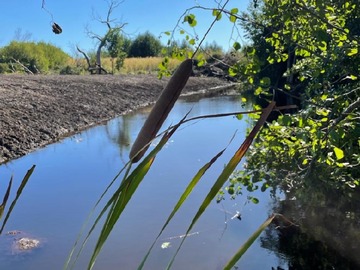 Terreno Agricola en venta en Oportunidad inversión, sector turístico cercano a salto laja, Los Ángeles