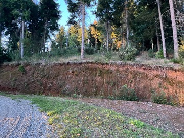 Terreno en venta en Oportunidad de Inversión en Terreno (153874), Valdivia
