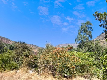 Terreno en venta en Lomas del águila-paine (175131), Paine