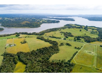 Venta / Terreno Agricola / Ancud