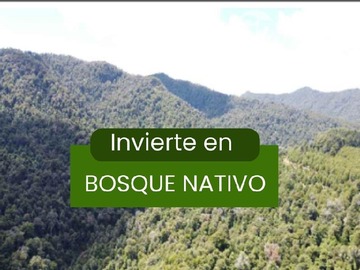 Terreno Agricola en venta en Namoncahue, Cunco