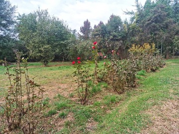 Terreno en venta en Terreno Ideal para Proyecto Familiar (172144), Paine - 3 dormitorios, 1 baño