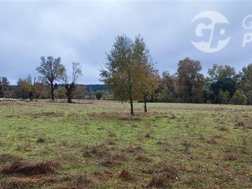 Terreno Agricola en venta en yungay, Yungay - 3 dormitorios, 1 baño