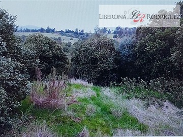 Sitio en venta en Sitio con pendiente en Las Gaviotas, Concón