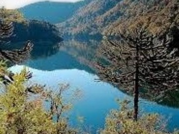 Parcela en venta en Orilla lago tinquilco, Pucón