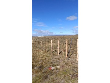 Terreno Agricola en arriendo mensual en cerro sombrero, Porvenir
