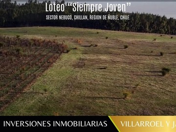 Venta / Parcela / Chillán Viejo