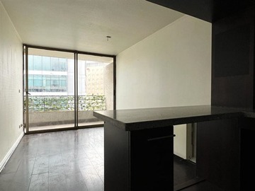 Arriendo Mensual / Departamento / Providencia