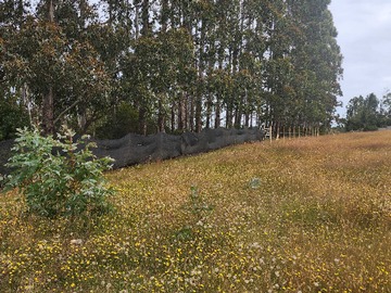 Terreno en venta en Parcela Alto Playa San Ignacio (134289), Valdivia - 2 dormitorios