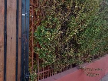 Casa en venta en Goycochea - Trinidad Ramírez, La Cisterna - 5 dormitorios, 2 baños
