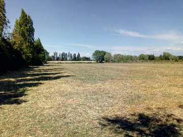 Terreno Agricola en venta en km 367, Ñiquén