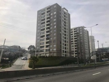 Departamento en arriendo mensual en Depto Amoblado de 1 Dorm en Viña del Mar (170791), Viña del Mar - 1 dormitorio, 1 baño