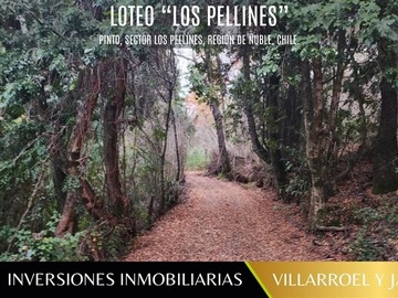 Venta / Parcela / Chillán