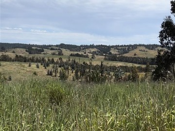 Parcela en venta en Paredones, Bucalemu, Provincia de Bernardo O´Higgins, Paredones