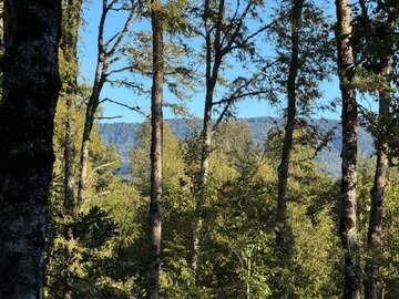 Parcela en venta en Villarrica, Villarrica