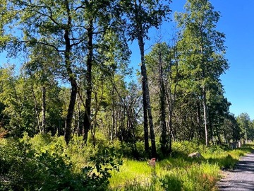 Parcela en venta en Bosques de Huincacara, Pucón