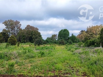 Sitio en venta en Pemuco, Pemuco