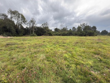 Terreno en venta en Puyehue, Puyehue - 2 dormitorios, 2 baños