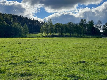 Venta / Terreno / Villarrica