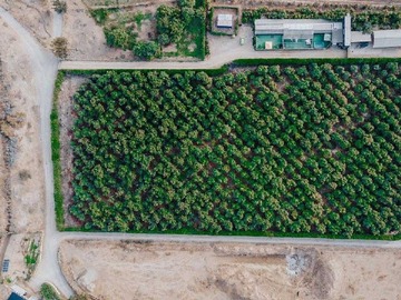 Terreno en venta en Parcela en venta a 10 minutos de Concón (174799), Limache