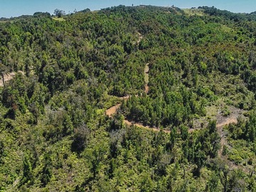 Terreno Agricola en venta en Estaquilla Beach, Los Muermos