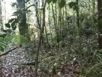 Parcela en venta en Ralun, Puerto Varas