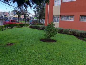 Departamento en arriendo mensual en Caupolicán, Temuco - 3 dormitorios, 1 baño