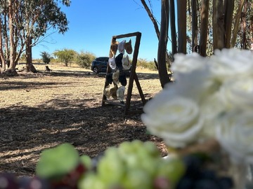 Terreno Agricola en venta en marchigue, Marchigüe