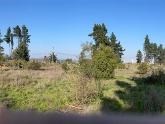 Parcela en venta en Los pinos, Viña del Mar