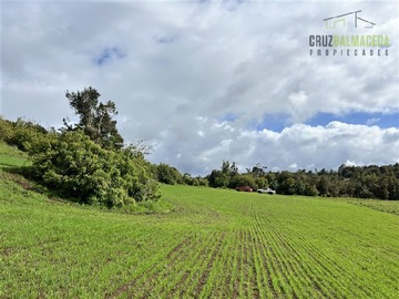 Terreno Agricola en venta en Ubicada en el sector El Mañío, a 1.5 km de la carretera que une Estaquilla y Los Muermos, Los Muermos