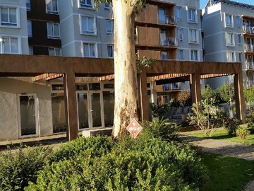 Departamento en arriendo mensual en Depto amoblado frente hospital nuevo (19292), Chillán - 2 dormitorios, 1 baño