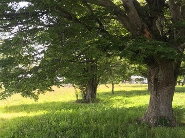 Parcela en venta en Hermosa parcela cerca de coyhaique, Coyhaique