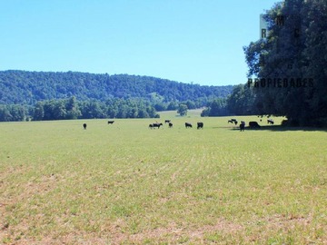 Terreno Agricola en venta en km 15., Panguipulli, Los Ríos, Chile "Corretajes Mardones", Valdivia