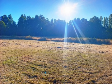 Parcela en venta en Villarrica, Villarrica