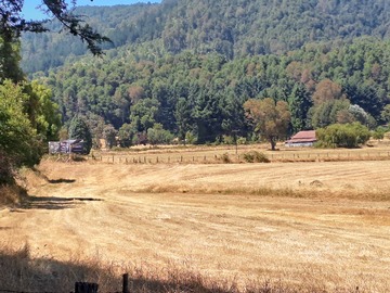 Venta / Terreno / Panguipulli