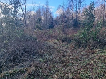 Venta / Parcela / Villarrica