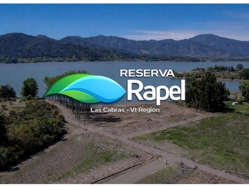 Venta / Parcela / Las Cabras