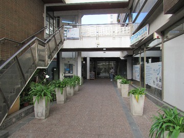 Arriendo Mensual / Departamento / Viña del Mar