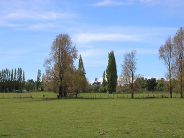 Terreno en venta en Terreno, sector El Encanto. Puyehue (68282), Puyehue