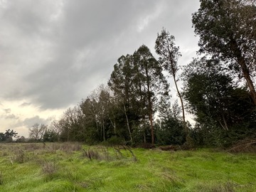 Parcela en venta en ruta K675 camino Duao S/N, sector Porvenir, Talca - 2 dormitorios, 2 baños