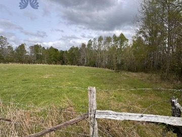 Terreno en venta en Terreno rural con agua y bosque, gran oportun (123575), Gorbea