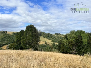 Venta / Terreno Agricola / Los Muermos