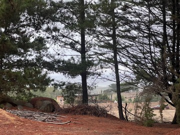 Terreno en venta en punta de lobos, Pichilemu