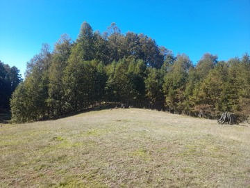 Terreno en venta en segunda faja, Villarrica