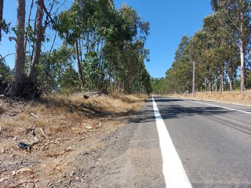 Parcela en venta en Algaroobo norte, Algarrobo