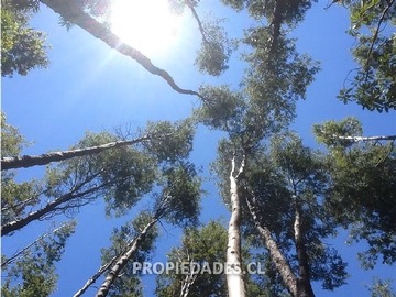 Terreno Agricola en venta en La Puntilla de San Juan, Coihueco
