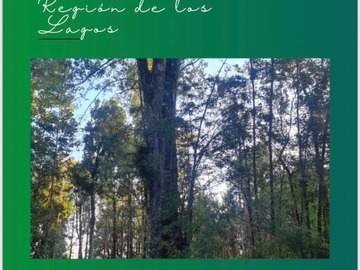 Terreno en venta en Compu, Queilén