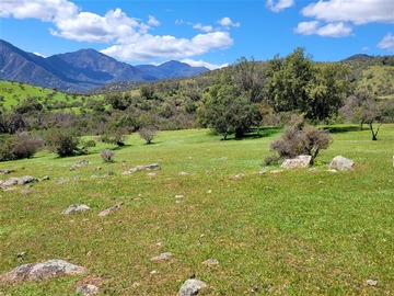 Venta / Parcela / Alhué