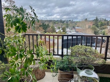 Departamento en venta en Centro puerto varas, vista calbuco, 2d 2b, Puerto Varas - 2 dormitorios, 2 baños