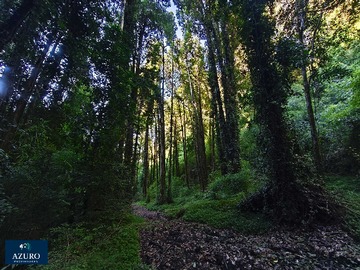 Venta / Terreno / Puerto Montt